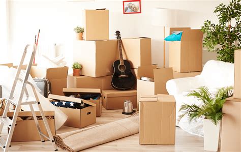 The Art of Decluttering: Why it Matters and How to Do .